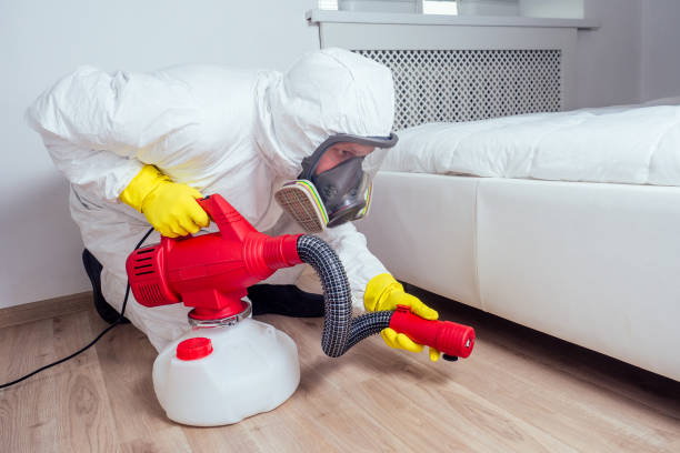 Reliable Dayton, IN Pest Control Solutions