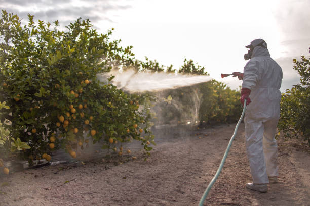 Best Best Pest Control Companies  in Dayton, IN