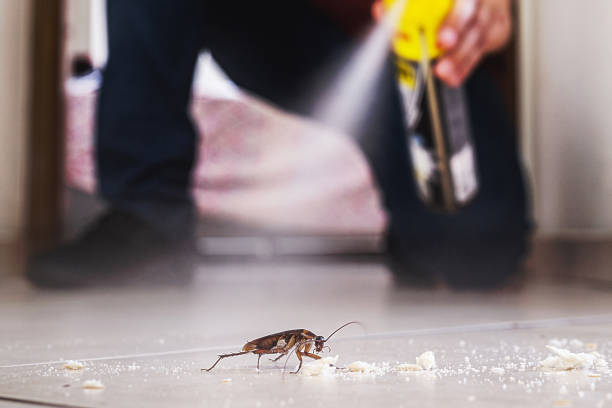 Flea Control Services in Dayton, IN